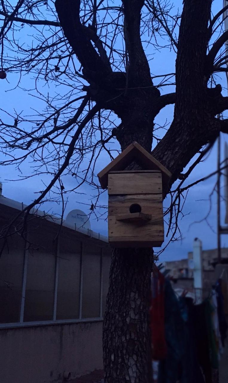تبليسي Birdhouse Rooms المظهر الخارجي الصورة